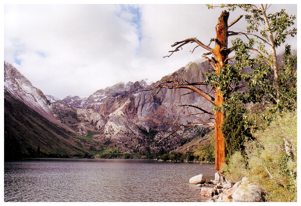 08 - Mt Witney (5).jpg